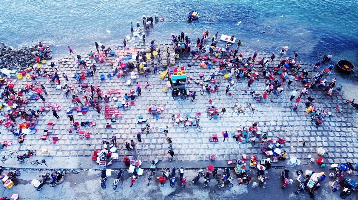 Phần mềm eCDT giúp cơ quan quản lý dễ dàng truy xuất nguồn gốc khi cần thiết. Ảnh: Thanh Nga.