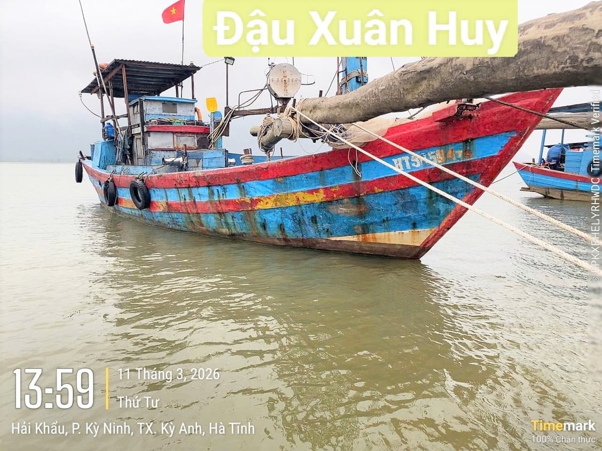 Tàu cá không đủ điều kiện hoạt động được giám sát hàng ngày. Ảnh: Thanh Nga.