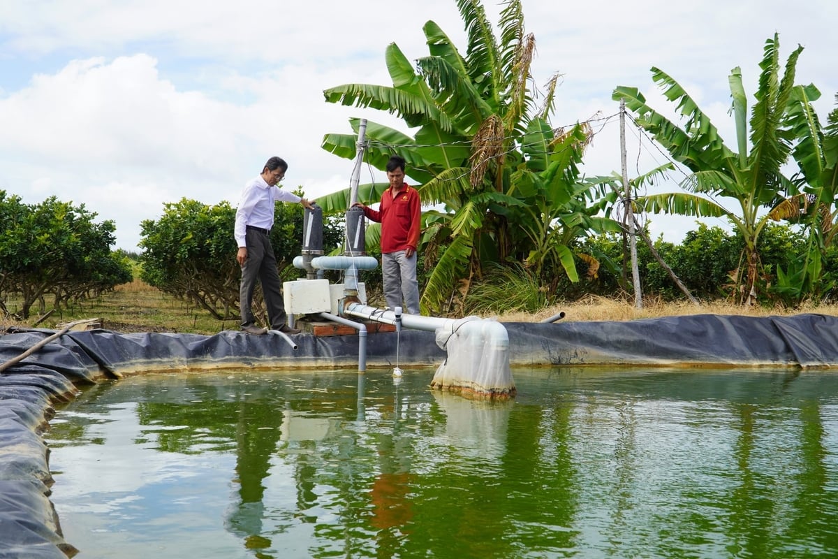 Nhà vườn Cù Lao Dung chủ động tích trữ nước phục vụ sản xuất những ngày đầu năm mới. Ảnh: Kim Anh.