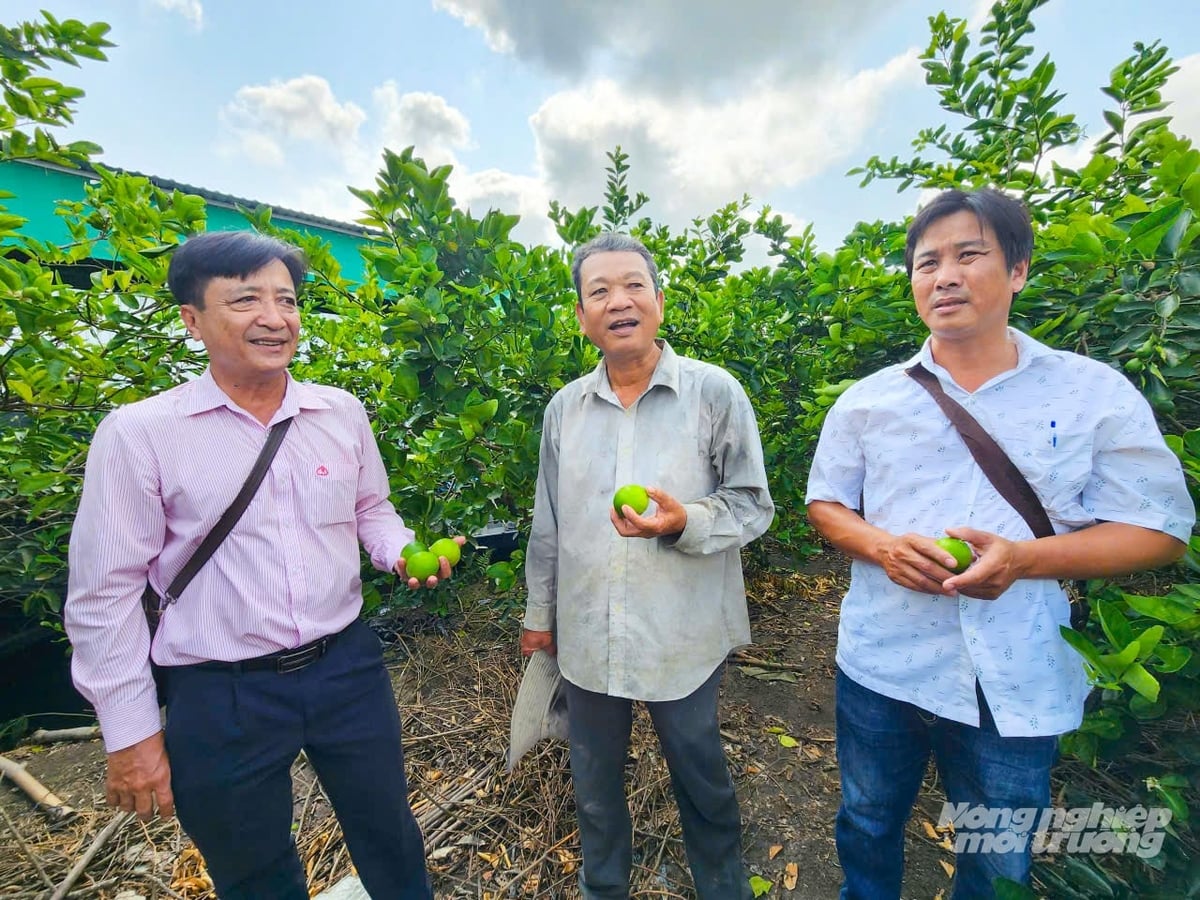 Đại diện Phòng giao dịch Ngân hàng Chính sách xã hội Châu Thành A  trao đổi với người dân vay vốn tại vườn chanh ở ấp Nhơn Thuận 1, xã Tân Hòa . Ảnh: Văn Vũ.
