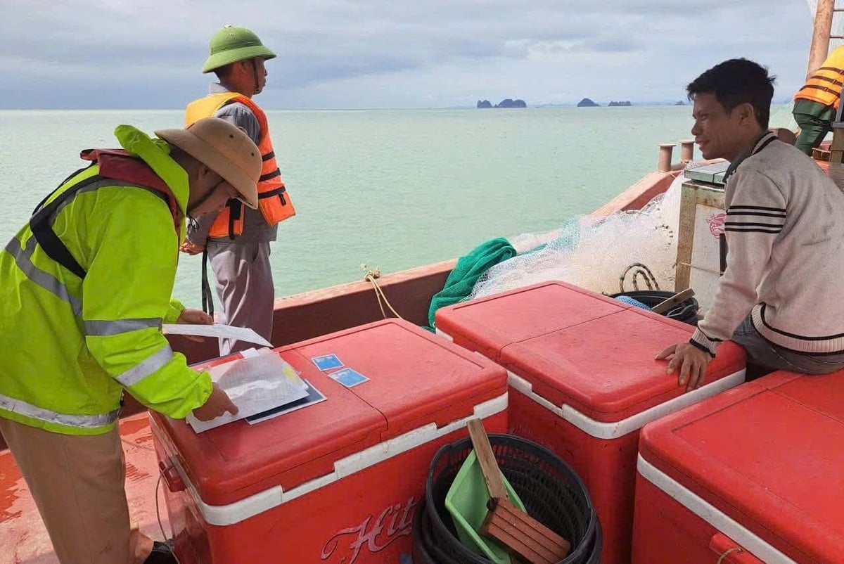 Lực lượng liên ngành kiểm tra thực tế hoạt động khai thác, thiết bị giám sát hành trình và ngư cụ trên tàu cá của ngư dân tại khu vực biển đặc khu Vân Đồn. Ảnh: Nguyễn Thu.