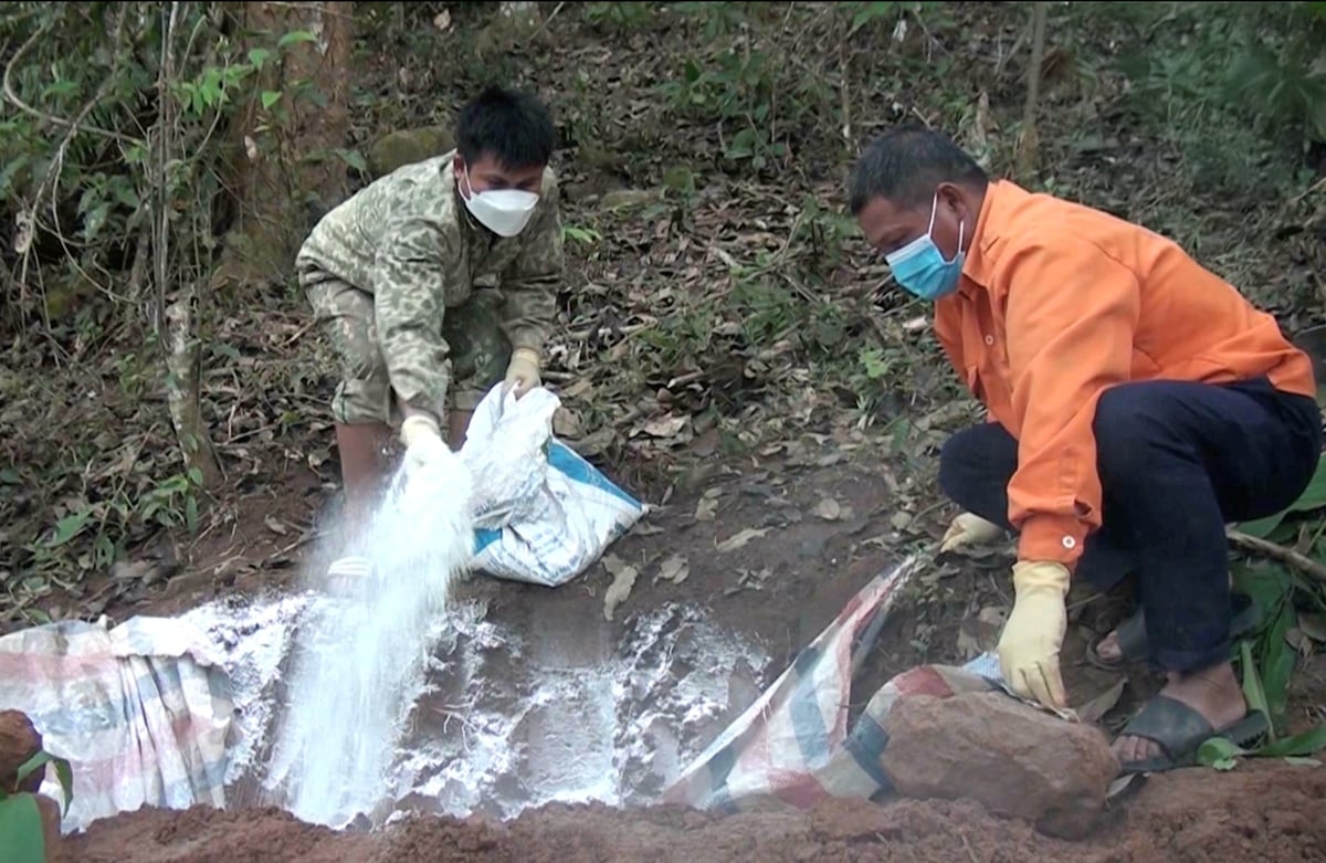 Lực lượng thú y và cán bộ địa phương tiêu độc, khử trùng khu vực tiêu hủy lợn mắc Dịch tả lợn châu Phi nhằm ngăn chặn nguy cơ lây lan dịch bệnh. Ảnh: Hoàng Châu.