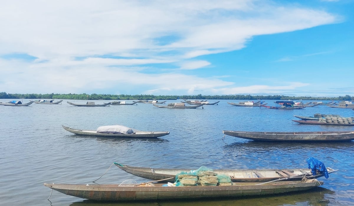 TP Huế ngăn chặn triệt để tình trạng khai thác thủy sản trái quy định. Ảnh: Văn Dinh. TP Huế ngăn chặn triệt để tình trạng khai thác thủy sản trái quy định. Ảnh: Văn Dinh.