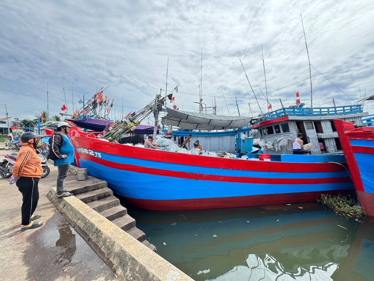 Hiện nay, 100% tàu cá của Quảng Ngãi đã được đăng ký, cập nhật trên cơ sở dữ liệu nghề cá quốc gia. Ảnh: L.K.