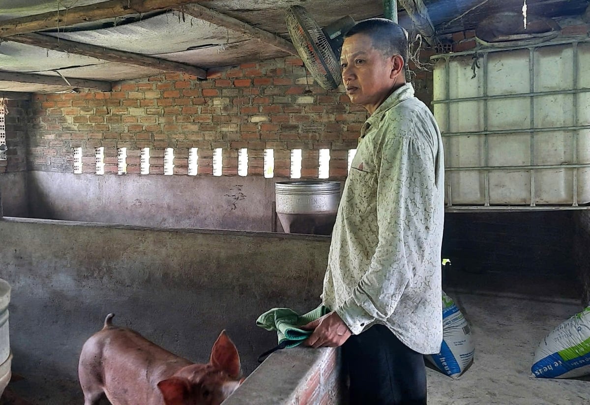 Gia đình ông Đỗ Đình Tuấn thực hiện tái đàn mạnh mẽ sau Tết. Ảnh: Tuấn Anh.