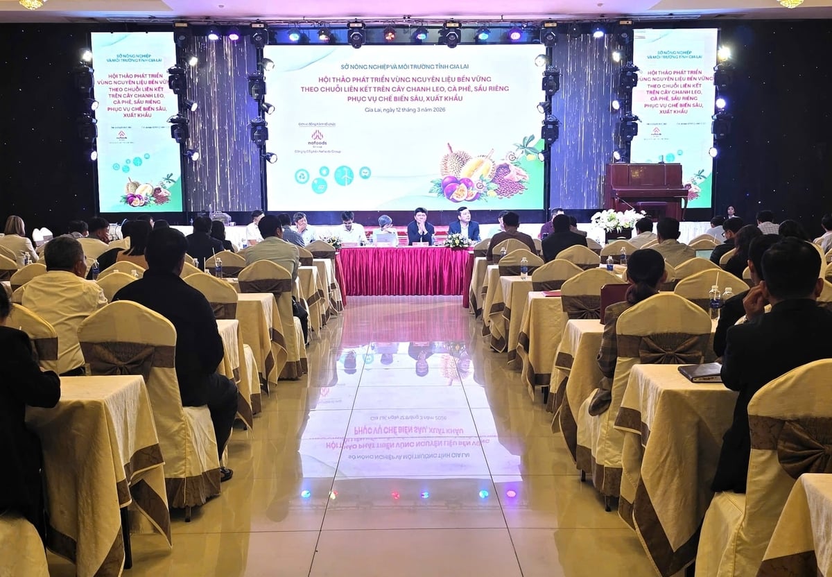 Hội thảo 'Phát triển vùng nguyên liệu bền vững theo chuỗi liên kết cây chanh leo, cà phê, sầu riêng phục vụ chế biến sâu, xuất khẩu' được tổ chức ở phía tây tỉnh Gia Lai. Ảnh: Tuấn Anh.