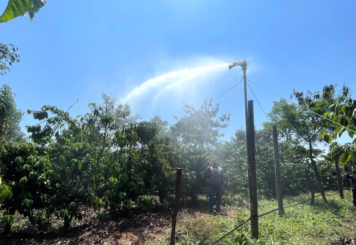 Hệ thống điện năng lượng mặt trời giúp tiết kiệm chi phí và nâng cao hiệu quả chống hạn. Ảnh: Tuấn Anh.