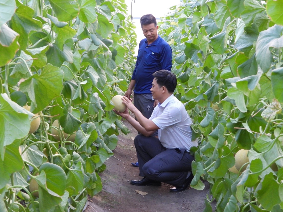 z7674074466521_7754b36c2c426b19732ab2a9d3e33c80-195805_364