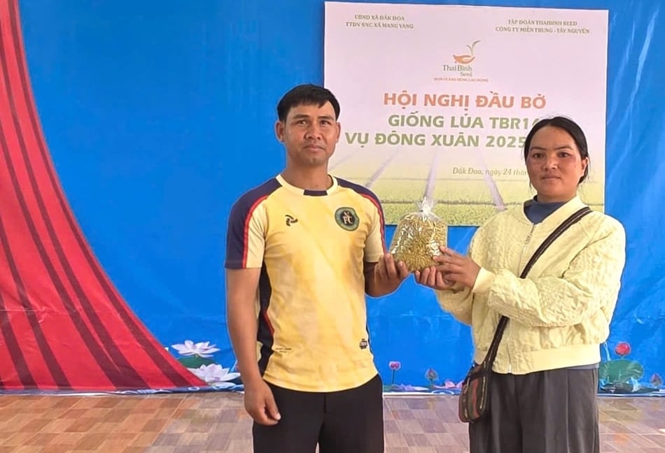 Thu hoạch thực tế 1m2, giống lúa TBR16 cho năng suất hơn 1kg lúa tươi (tương đương hơn 1 tấn/sào). Ảnh: Tuấn Anh.