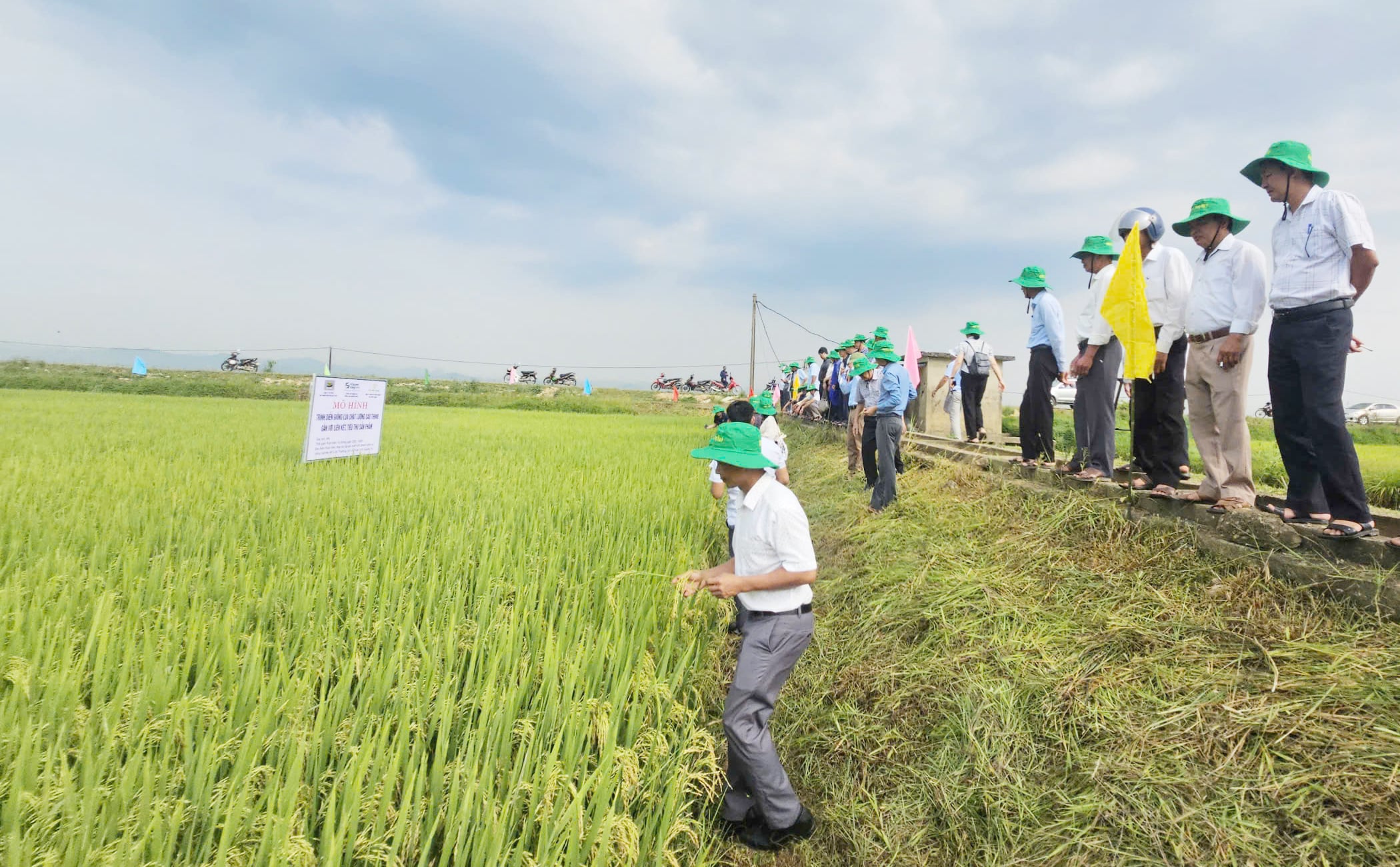 Các đại biểu tham quan mô hình trình diễn giống lúa chất lượng cao TH998 tại Hợp tác xã Mỹ Lộc Thượng. Ảnh: T. Đức. Các đại biểu tham quan mô hình trình diễn giống lúa chất lượng cao TH998 tại Hợp tác xã Mỹ Lộc Thượng. Ảnh: T. Đức.
