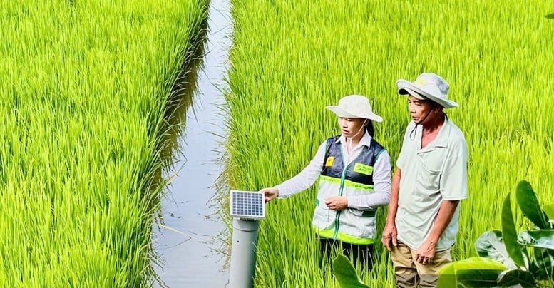Việc phê duyệt danh mục dự án khuyến nông Trung ương từ năm 2027 được kỳ vọng tạo động lực đổi mới sản xuất nông nghiệp, nâng cao thu nhập cho người dân và thúc đẩy phát triển nông nghiệp xanh, bền vững. Ảnh: Hồng Cẩm. Việc phê duyệt danh mục dự án khuyến nông Trung ương từ năm 2027 được kỳ vọng tạo động lực đổi mới sản xuất nông nghiệp, nâng cao thu nhập cho người dân và thúc đẩy phát triển nông nghiệp xanh, bền vững. Ảnh: Hồng Cẩm.