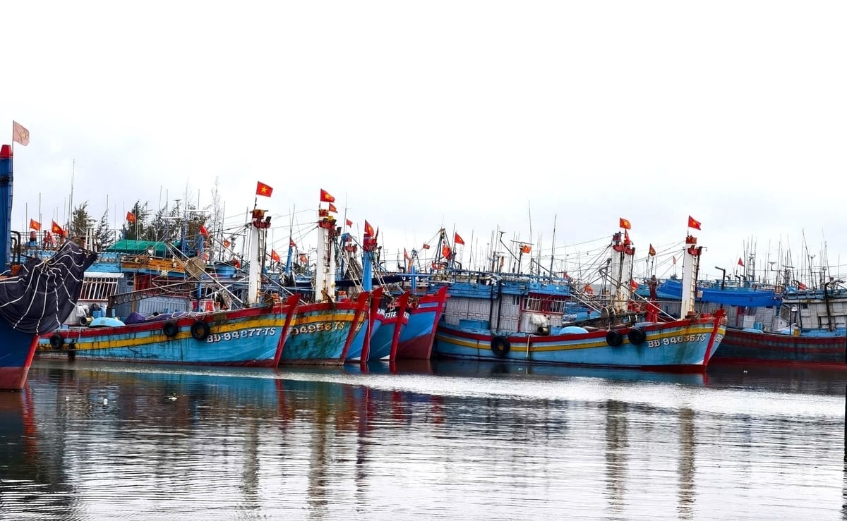 Quảng Ngãi là địa phương có số lượng tàu cá lớn với khoảng 4.500 tàu cá lớn nhỏ. Ảnh: L.K.