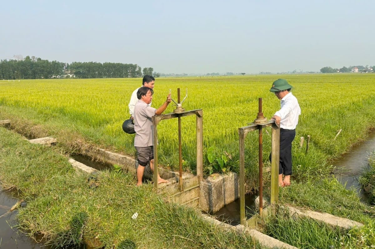 Chính quyền các địa phương kiểm tra thực địa công tác điều tiết nước kênh mương thuỷ lợi, phục vụ tưới tiêu sản xuất vụ Đông Xuân. Ảnh: Văn Dinh.