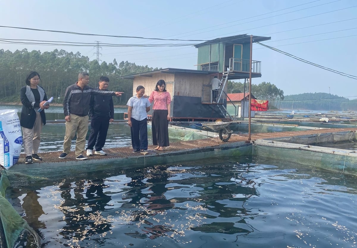 Nuôi cá lồng trên hồ Thác Bà đã mang lại thu nhập khá cho nhiều hộ dân. Ảnh: Thanh Tiến. Nuôi cá lồng trên hồ Thác Bà đã mang lại thu nhập khá cho nhiều hộ dân. Ảnh: Thanh Tiến.