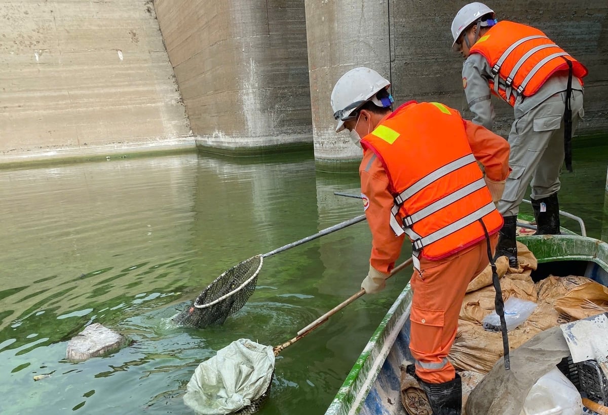 Đơn vị chức năng xử lý khử khuẩn nguồn nước. Ảnh: Thanh Tiến. Đơn vị chức năng xử lý khử khuẩn nguồn nước. Ảnh: Thanh Tiến.