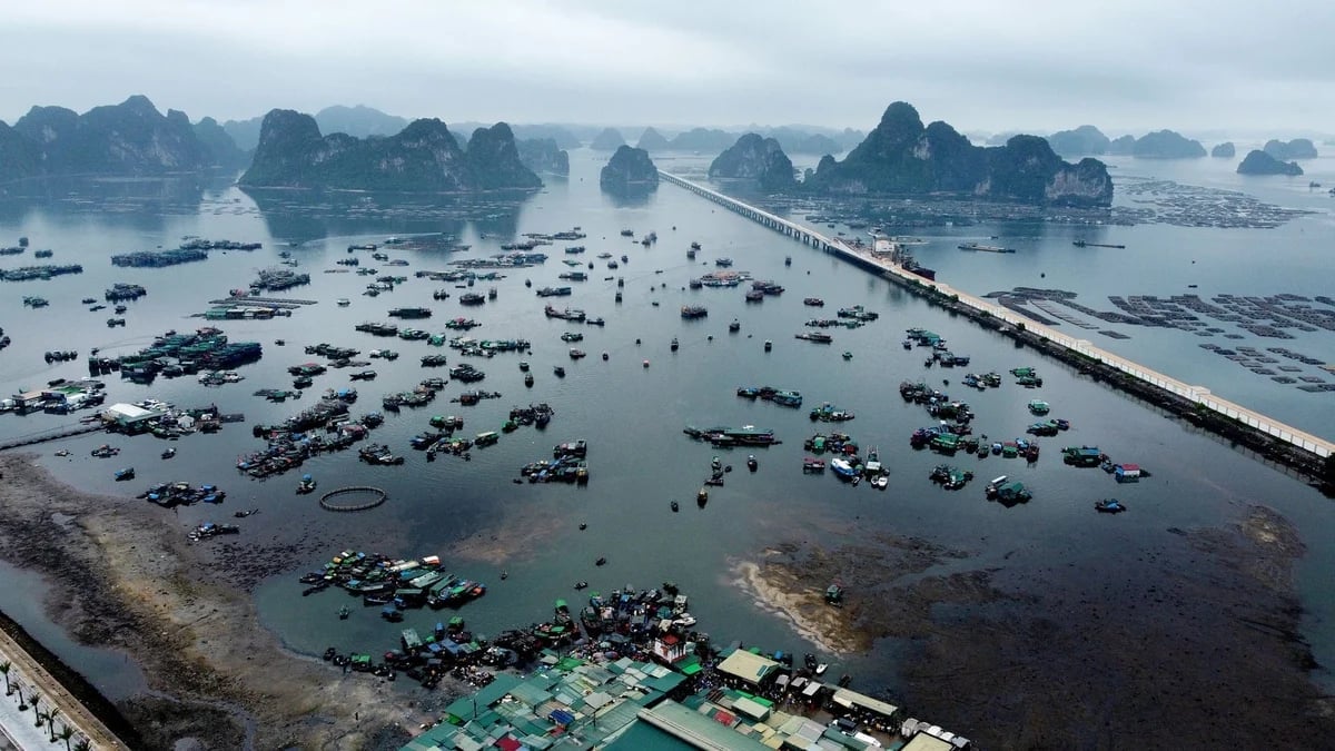 Ngành thủy sản được xác định là một trong những trụ cột quan trọng của kinh tế biển Việt Nam. Ảnh: Hồng Thắm.