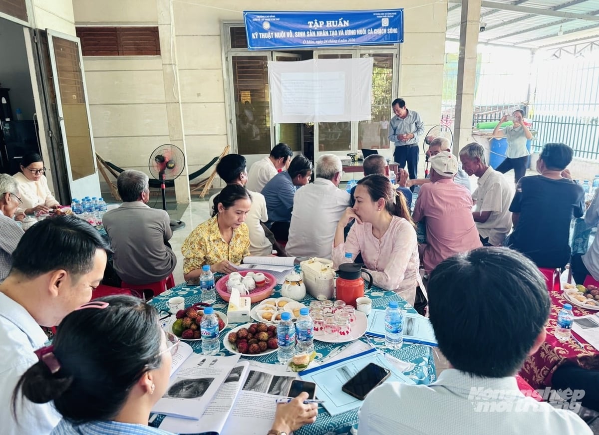 Lớp tập huấn kỹ thuật nuôi vỗ sinh sản nhân tạo và ương nuôi cá chạch sông dành cho các hộ dân Phước Thới và Ô Môn. Ảnh: Lê Hoàng Vũ.