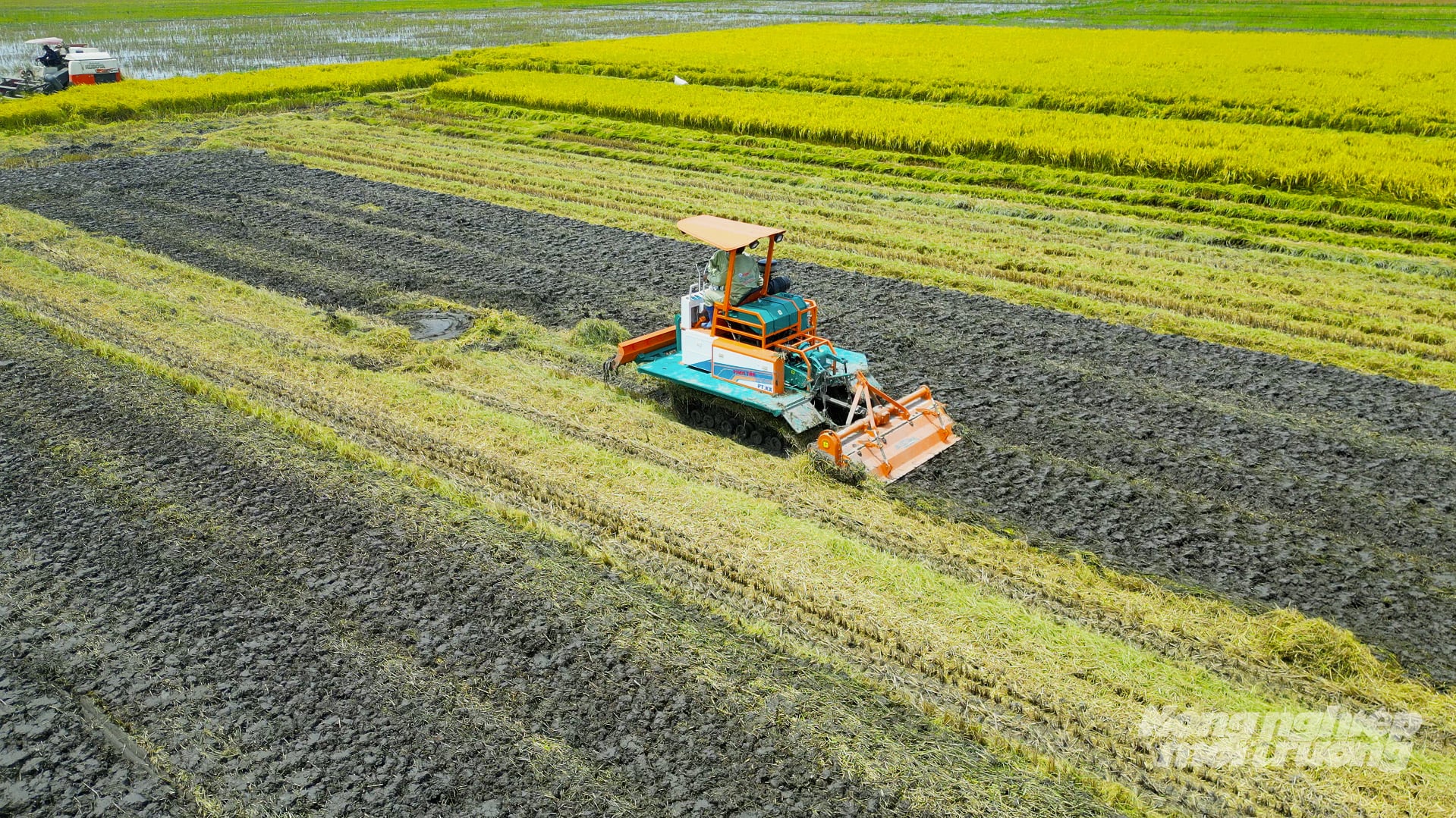 Cơ giới hóa được nông dân Đồng Tháp đẩy mạnh trong sản xuất lúa hè thu. Ảnh: Lê Hoàng Vũ. Cơ giới hóa được nông dân Đồng Tháp đẩy mạnh trong sản xuất lúa hè thu. Ảnh: Lê Hoàng Vũ.