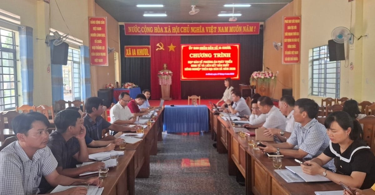 Cuộc họp bàn về việc liên kết xây dựng chuỗi cà phê bền vững. Ảnh: Đăng Lâm. 