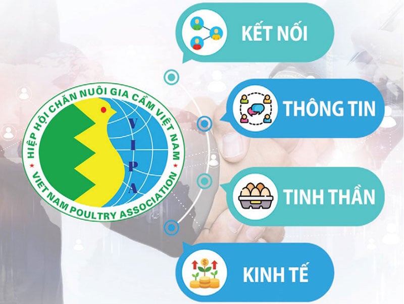 VIPA đóng vai trò kết nối doanh nghiệp, cung cấp thông tin và thúc đẩy phát triển kinh tế ngành thuốc bảo vệ thực vật. VIPA đóng vai trò kết nối doanh nghiệp, cung cấp thông tin và thúc đẩy phát triển kinh tế ngành thuốc bảo vệ thực vật.