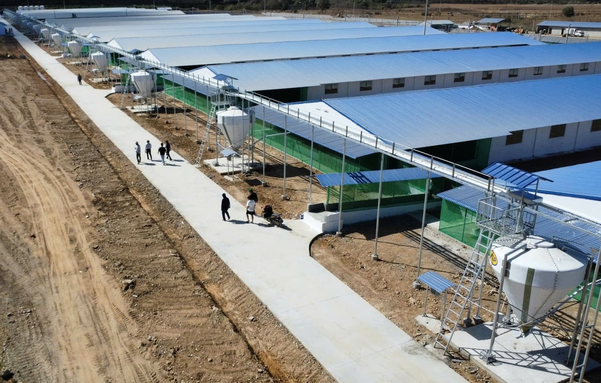 Tỉnh Khánh Hòa đang thu hút nhiều doanh nghiệp đầu tư chăn nuôi công nghệ cao. Ảnh: KS.