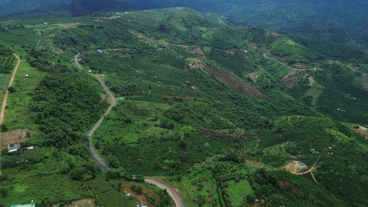 Để công tác thu gom, xử lý rác thải thuốc BVTV, phân bón đi vào nề nếp, cần có đủ kế hoạch, kinh phí, đầu mối thực hiện. Ảnh: P.H.