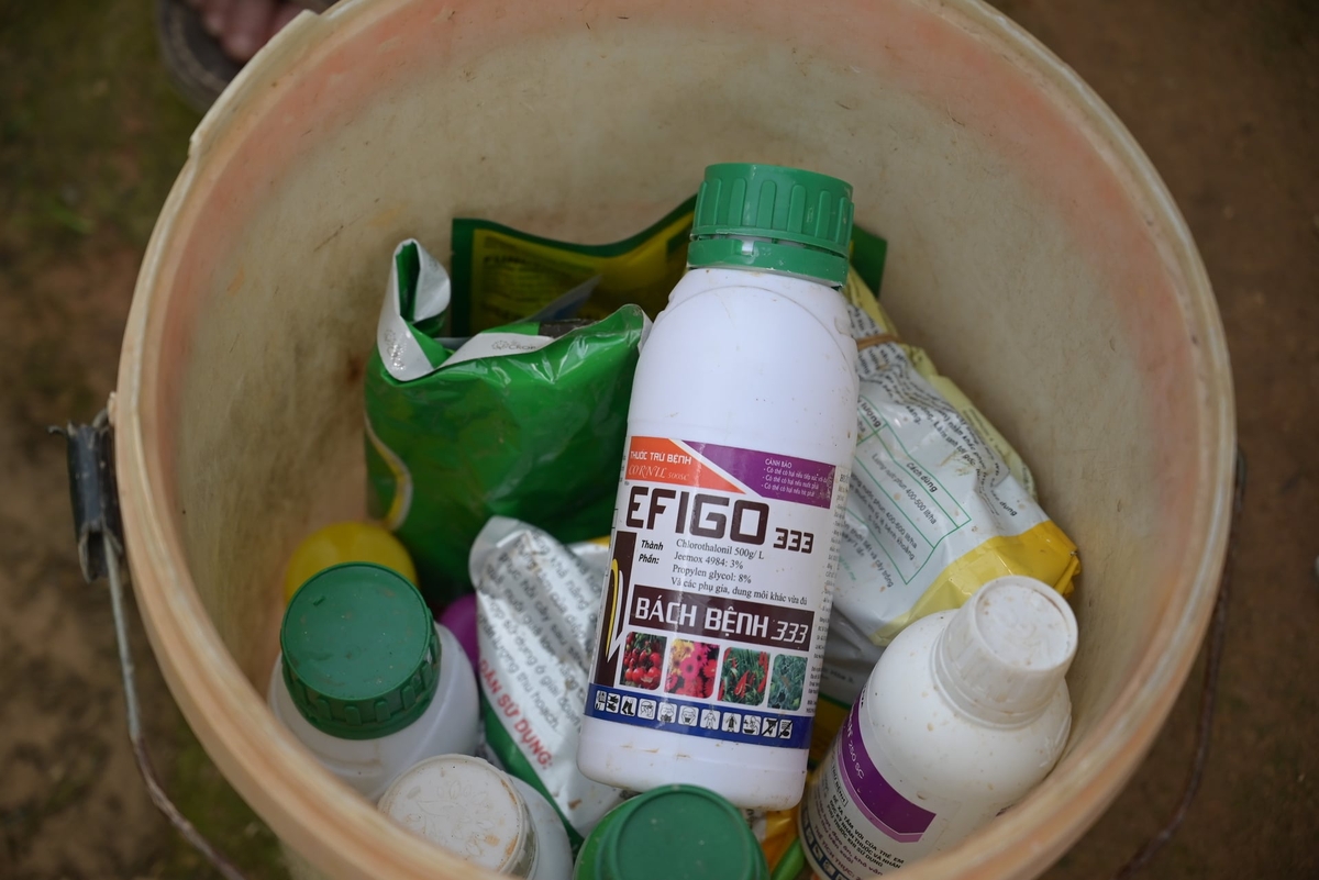 Ở nhiều nhà vườn hiện nay, sau khi sử dụng, nông dân đều gom vỏ chai lọ, bao bì thuốc BVTV vào xô, chậu để phân loại ngay từ đầu nguồn. Ảnh: Phạm Hoài.