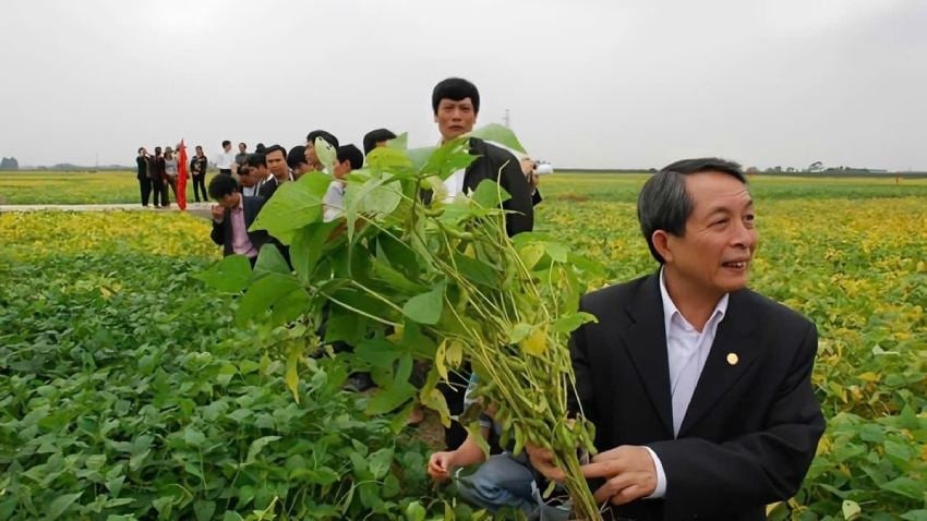 GS Trần Đình Long thăm mô hình đậu tương đông tại Hà Nội. Ảnh: NVCC.