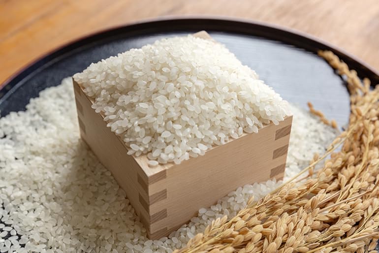 Giá lúa gạo hôm nay 17/4/2026: Giá lúa tươi nhích tăng