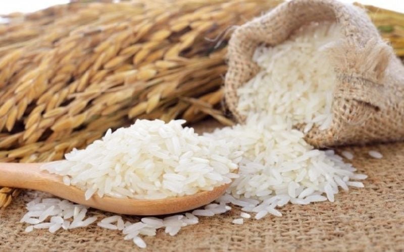 Giá lúa gạo hôm nay 22/4/2026: Tiếp tục đi ngang