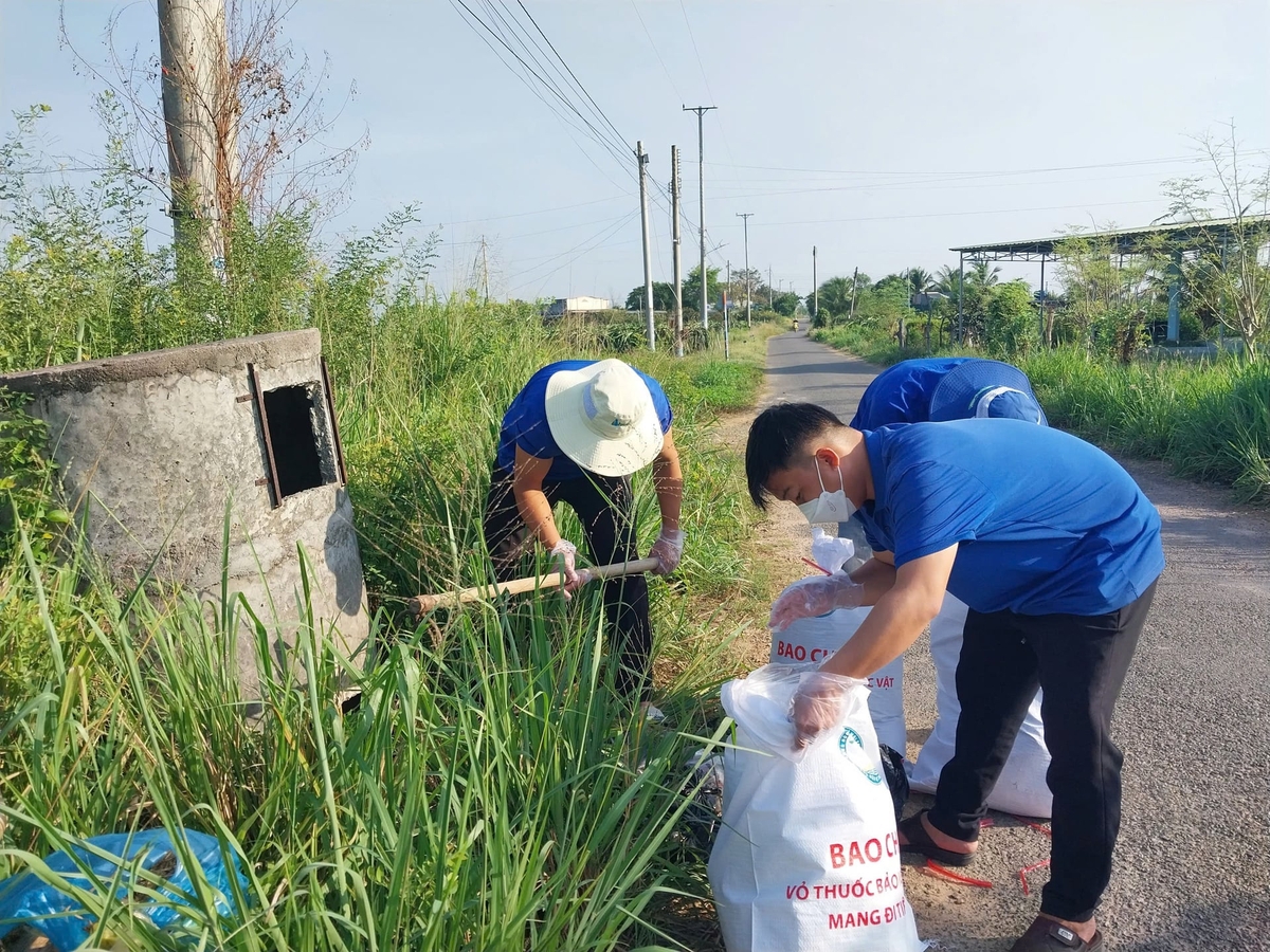 Từ khi triển khai các hoạt động tuyên truyền, hướng dẫn phân loại, thu gom và xử lý bao gói thuốc BVTV đúng quy định, nhận thức của người dân đã có chuyển biến rõ rệt. Ảnh: Phạm Hoài.