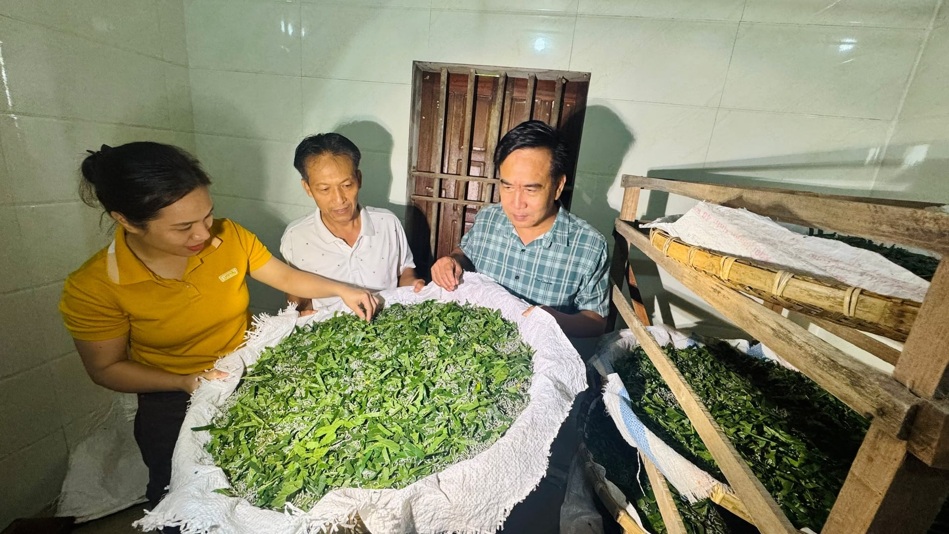 Nhờ thường xuyên cập nhật kỹ thuật và áp dụng đúng quy trình chăm sóc, đàn tằm của gia đình anh Chính phát triển tốt, cho năng suất kén ổn định. Ảnh: Ánh Nguyệt. Nhờ thường xuyên cập nhật kỹ thuật và áp dụng đúng quy trình chăm sóc, đàn tằm của gia đình anh Chính phát triển tốt, cho năng suất kén ổn định. Ảnh: Ánh Nguyệt.