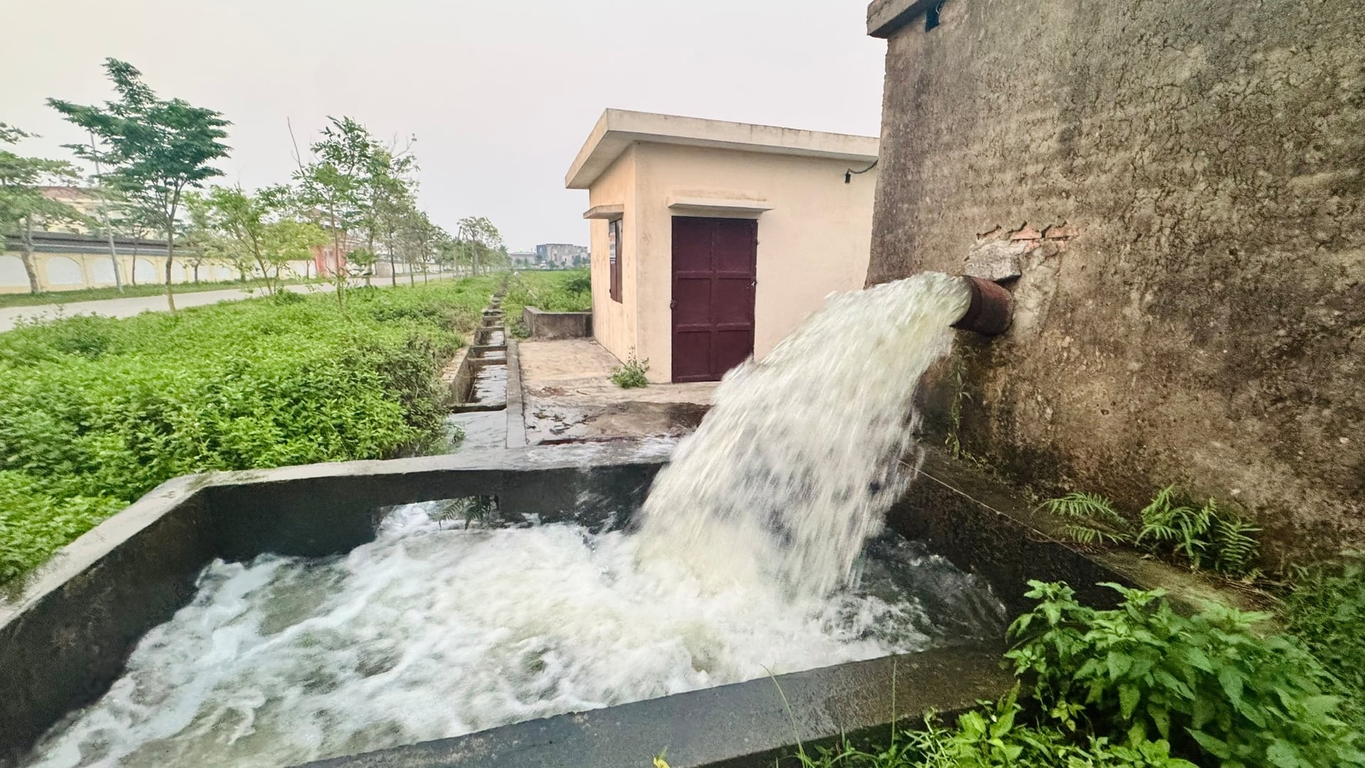 Các địa phương vận hành trạm bơm để cấp nước tưới ổn định phục vụ sản xuất. Ảnh: Ánh Nguyệt.