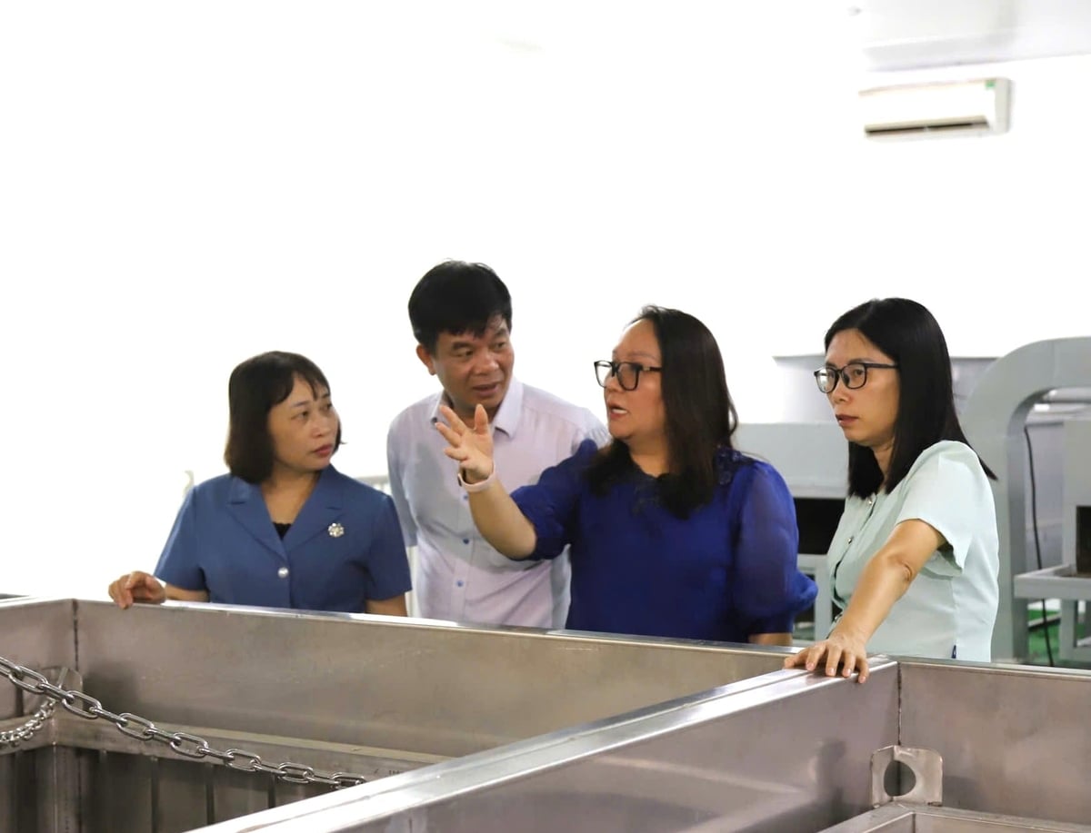 Đoàn công tác kiểm tra tình hình chuẩn bị cho vụ vài năm 2026 tại một doanh nghiệp thu mua, xuất khẩu có chi nhánh trên địa bàn xã Thanh Hà. Ảnh: Hoàng Phong. Đoàn công tác kiểm tra tình hình chuẩn bị cho vụ vài năm 2026 tại một doanh nghiệp thu mua, xuất khẩu có chi nhánh trên địa bàn xã Thanh Hà. Ảnh: Hoàng Phong.