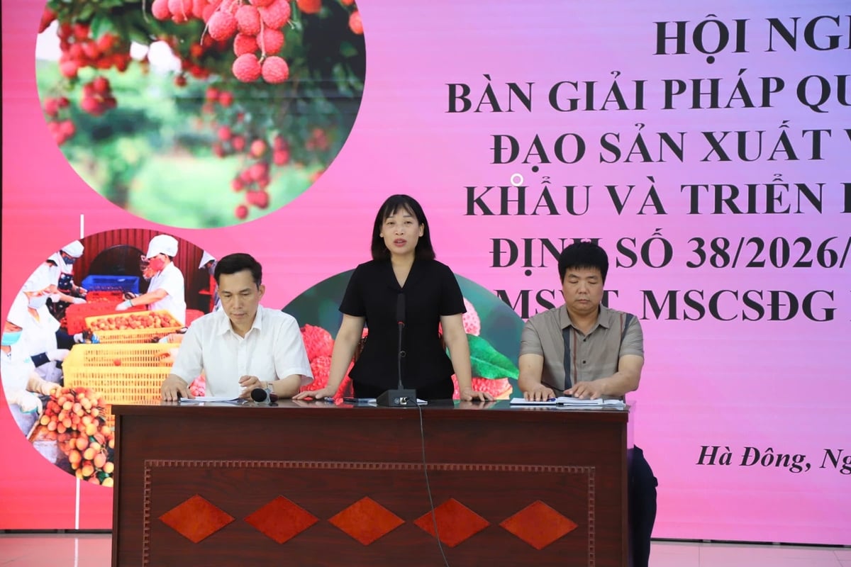 Bà Lương Thị Kiểm - Phó Giám đốc Sở Nông nghiệp và Môi trường Hải Phòng chủ trì hội nghị. Ảnh: Đinh Mười. Bà Lương Thị Kiểm - Phó Giám đốc Sở Nông nghiệp và Môi trường Hải Phòng chủ trì hội nghị. Ảnh: Đinh Mười.