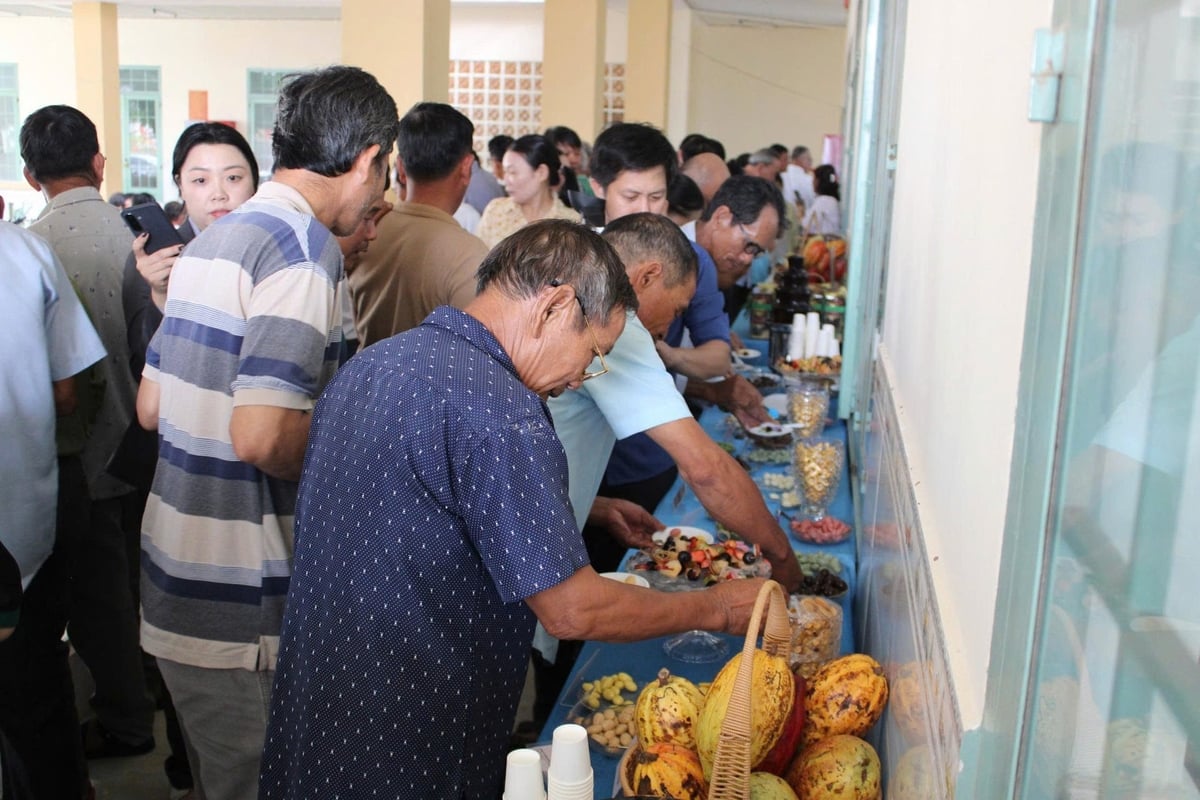 Nông dân và đại biểu tham quan, tìm hiểu các sản phẩm từ ca cao và một số cây trồng được đề xuất chuyển đổi tại tọa đàm. Ảnh: N.T.