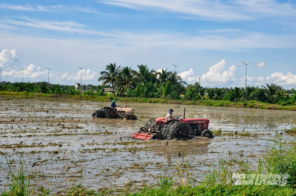 Nông dân An Giang tập trung làm đất, chuẩn bị gieo sạ lúa hè 2026 đảm báo đúng khu lịch thời vụ khuyến cáo. Ảnh: Trung Chánh.