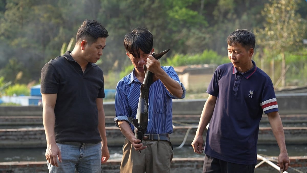 Nghề nuôi cá nước lạnh ở Lai Châu. Ảnh: Đăng Bình.