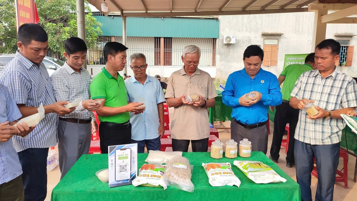 Đại biểu tham quan sản phẩm của Công ty TNHH ThaiBinh Seed - Miền Trung - Tây Nguyên. Ảnh: Tuấn Trần.