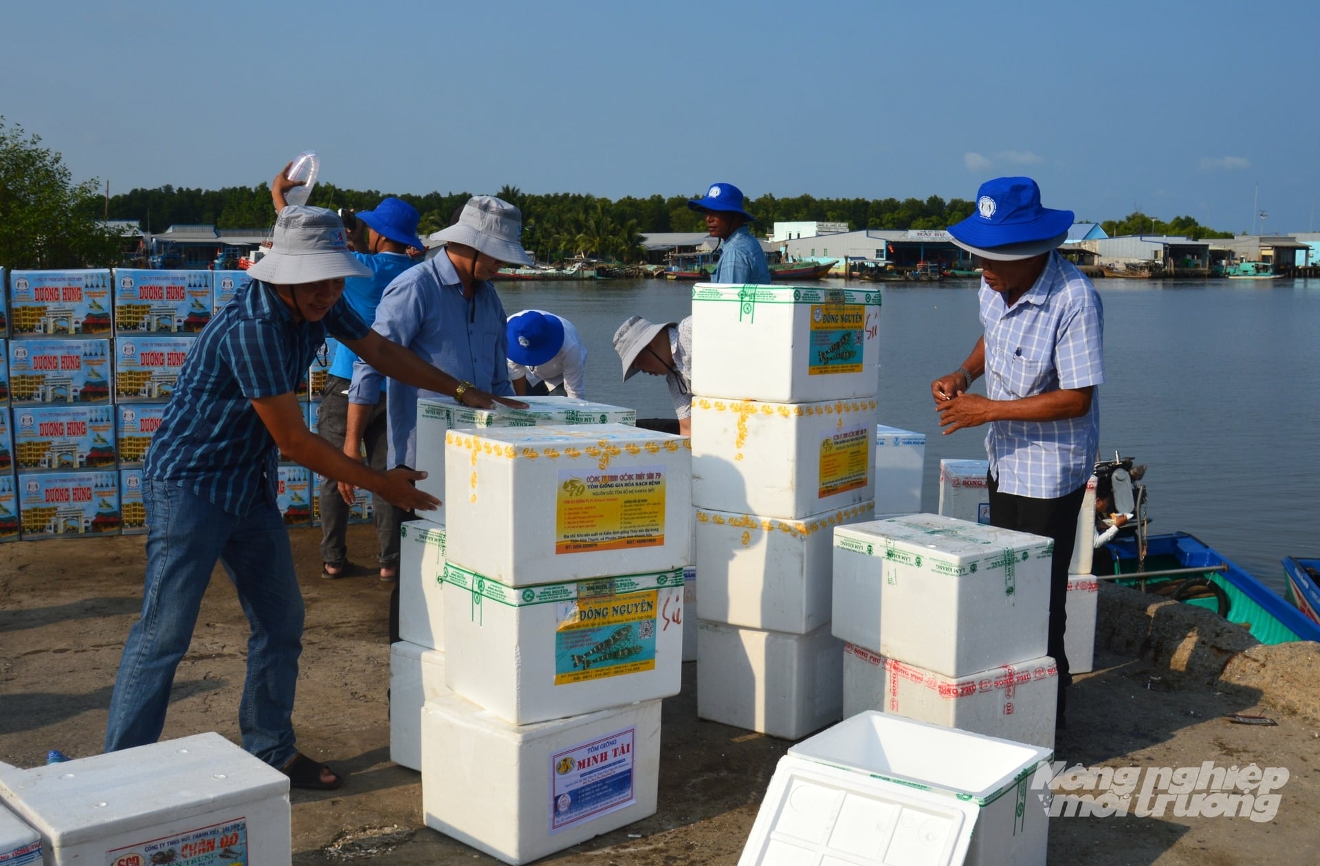 Các doanh nghiệp, cơ sở sản xuất, kinh doanh giống thủy sản đã cùng nhau đóng góp 8 triệu con tôm, cua giống để thả về môi trường tự nhiên tại cửa biển Xẻo Nhàu nhằm tái tạo nguồn lợi thủy sản. Ảnh: Trung Chánh.
