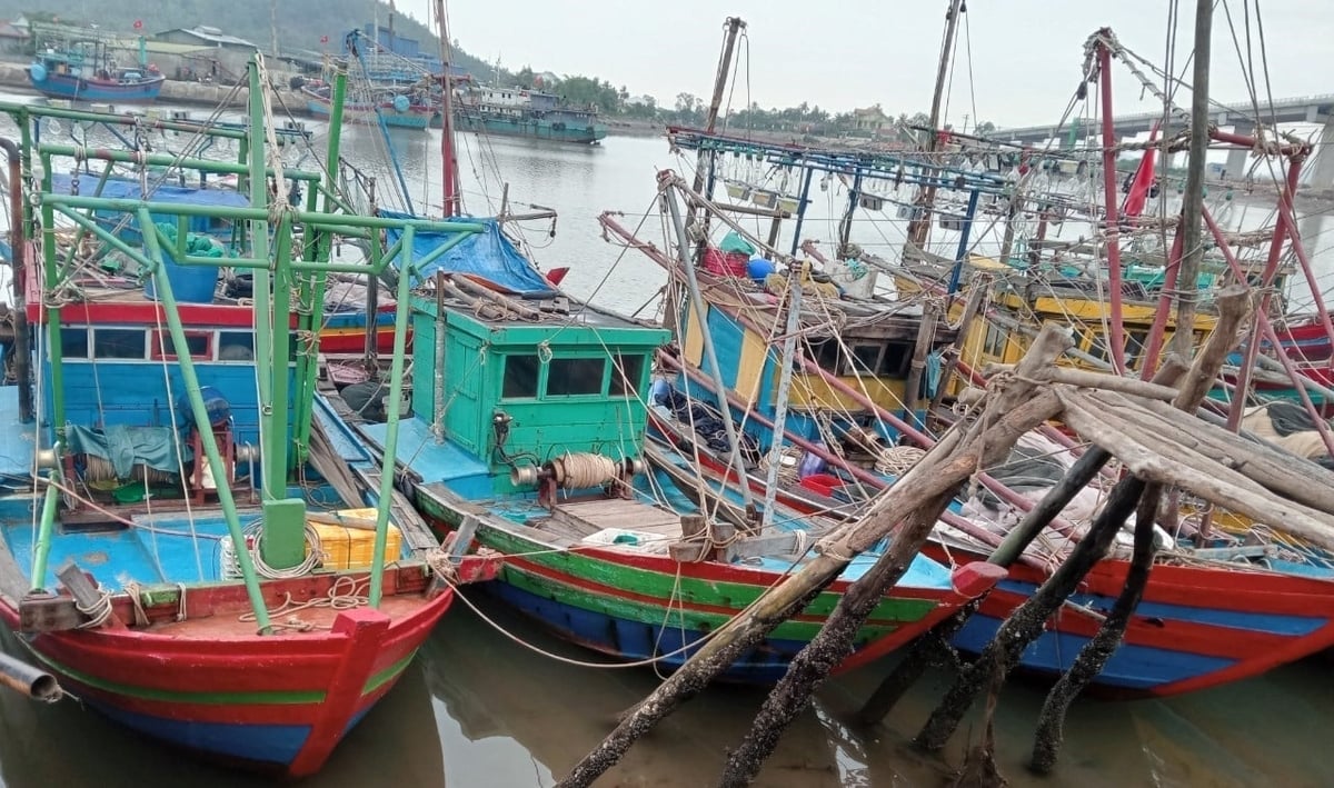 Nghệ An đang tập trung xử lý nghiêm các 'điểm nghẽn' trong công tác chống khai thác IUU. Ảnh: VK. 