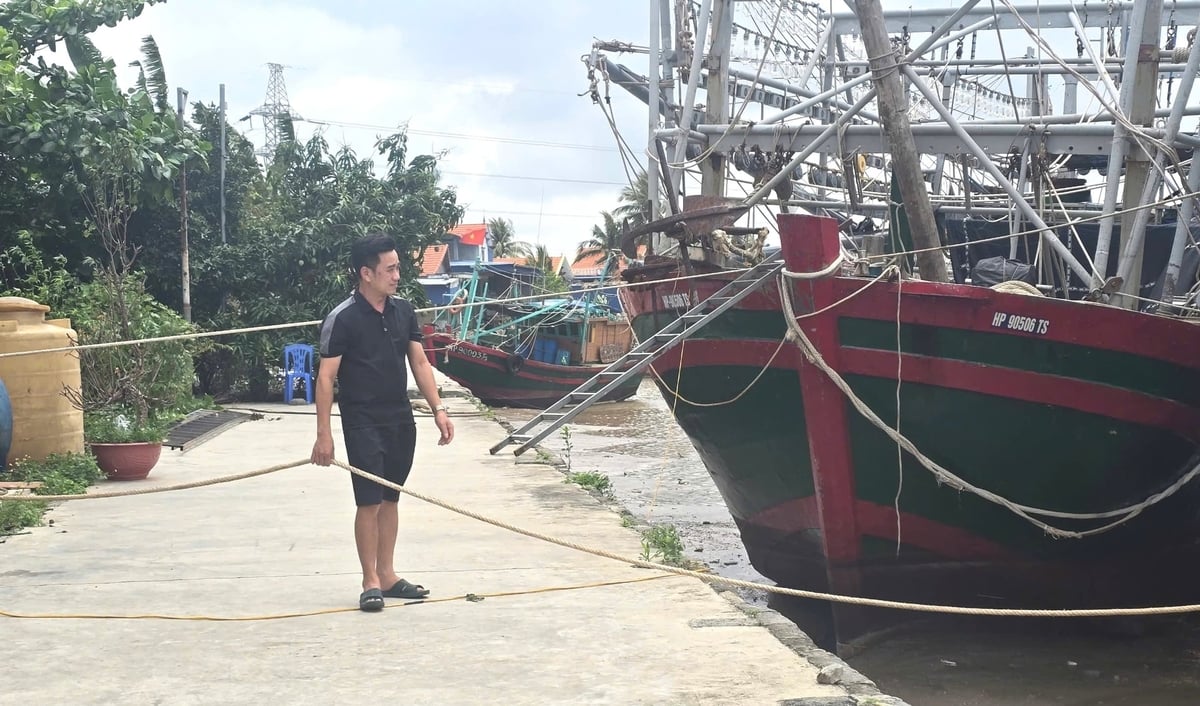 Anh Đinh Văn Thanh, người trực tiếp quản lý một khu vực neo đậu tại cảng Mắt Rồng, phường Nam Triệu kiểm tra hệ thống dây neo tàu cá. Ảnh: Đinh Mười.