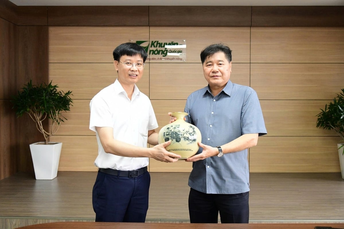 Đại diện hai đơn vị thống nhất định hướng hợp tác giai đoạn 2026 - 2030, trong đó tập trung nâng cao hiệu quả khuyến nông, giúp nông dân tiếp cận vật tư chất lượng và thúc đẩy mô hình nông nghiệp xanh, bền vững. Ảnh: Vinachem. Đại diện hai đơn vị thống nhất định hướng hợp tác giai đoạn 2026 - 2030, trong đó tập trung nâng cao hiệu quả khuyến nông, giúp nông dân tiếp cận vật tư chất lượng và thúc đẩy mô hình nông nghiệp xanh, bền vững. Ảnh: Vinachem.