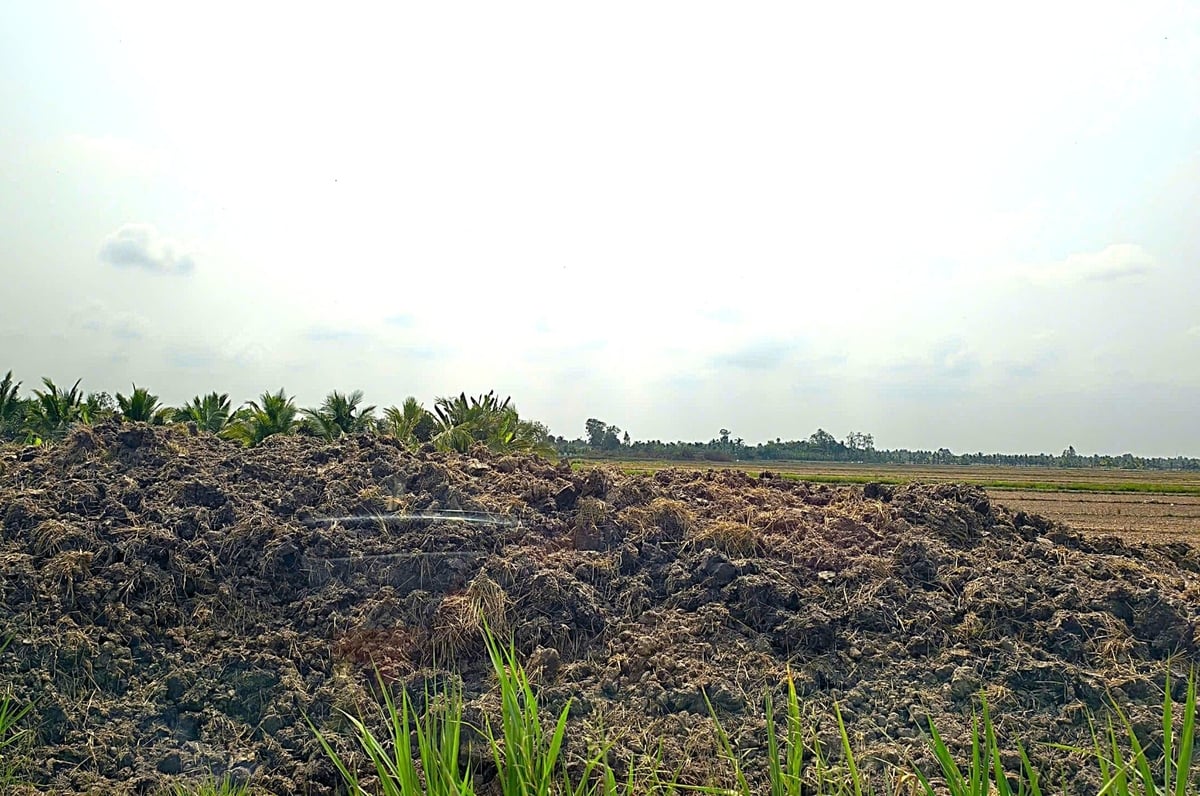 Chủ tịch UBND tỉnh Vĩnh Long yêu cầu xử lý nghiêm các hành vi khai thác, vận chuyển đất mặt ruộng trái phép trên địa bàn tỉnh. Ảnh: Minh Đảm.