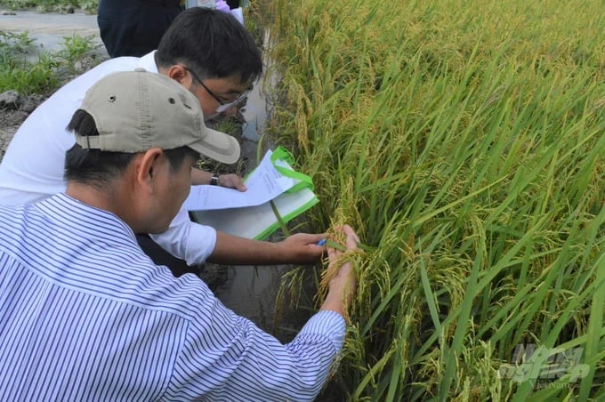 Các thành viên của VSTA không chỉ là doanh nghiệp sản xuất kinh doanh mà còn là các doanh nghiệp khoa học công nghệ. Ảnh: MH.