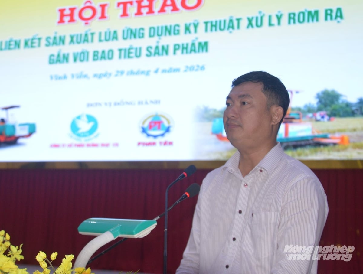 Ông Võ Xuân Tân, Chủ tịch UBND xã Vĩnh Viễn cho biết, xử lý rơm rạ sau thu hoạch vẫn là bài toán khó với địa phương và kỳ vọng mô hình liên kết sản xuất sẽ tạo chuyển biến rõ nét, giảm tình trạng đốt đồng. Ảnh: Trung Chánh.