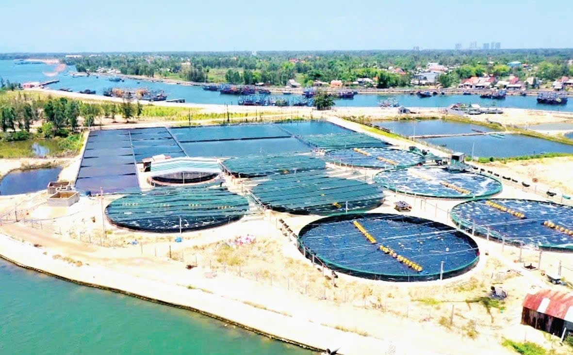 Trại nuôi tôm công nghệ cao của ông Phạm Đình Chương (thôn Hồng Triều, xã Duy Nghĩa). Ảnh: L.A.
