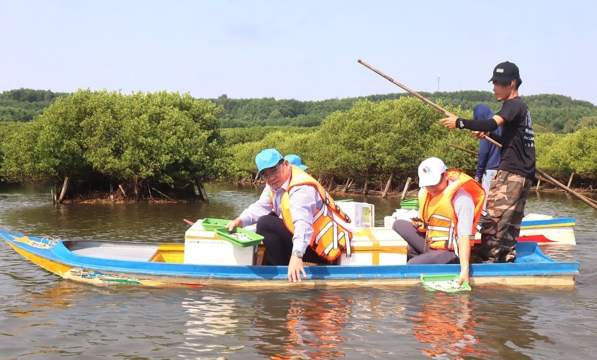 Lãnh đạo ngành nông nghiệp môi trường tỉnh Quảng Ngãi tham gia thả con giống thủy sản ở Bàu Cá Cái (xã Vạn Tường). Ảnh: L.K.