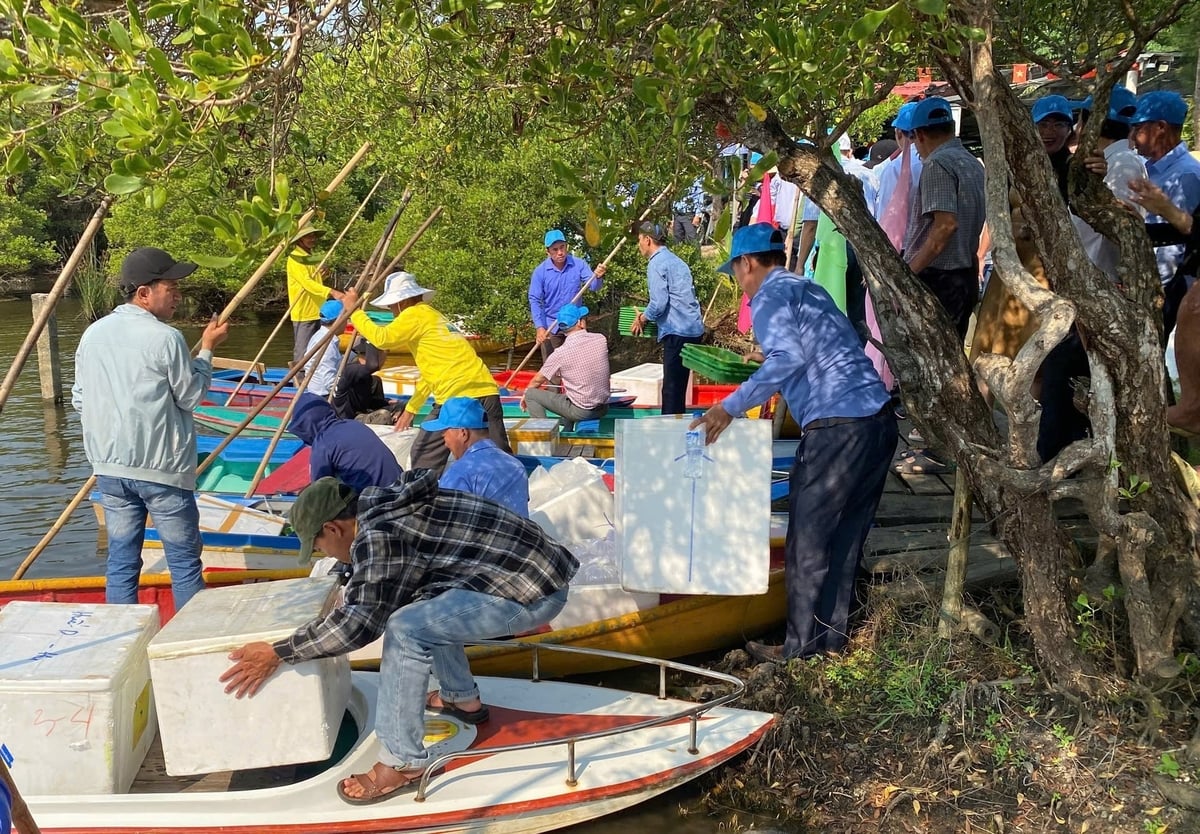 Phục hồi nguồn lợi thủy sản là giải phải bảo vệ hệ sinh thái tự nhiên và sinh kế cho người dân. Ảnh: L.K.