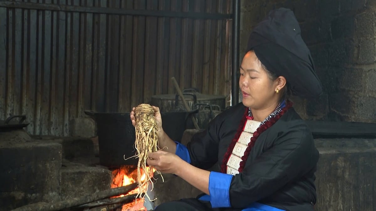 Tẩn Mý Dao dành nhiều thời gian nghiên cứu, phát triển các sản phẩm từ bài thuốc gia truyền. Ảnh: Văn Thao.